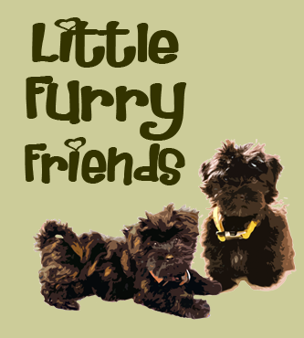 Little Furry Friends